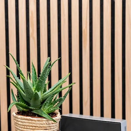 Civico 11 Accogliente Trilocale Per 4 Persone Con 2 Bagni E Posto Auto Riservato Perugia